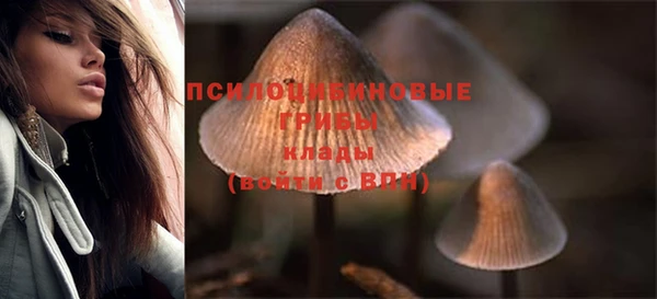 стафф Абдулино