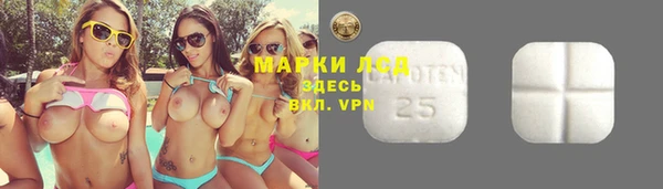 гидра Абинск