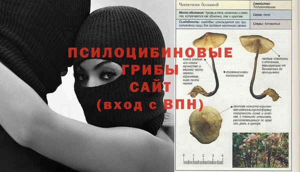 кокс Мегион