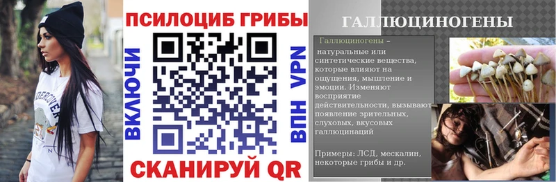 omg маркетплейс  Усолье-Сибирское  Псилоцибиновые грибы мицелий  как найти закладки 